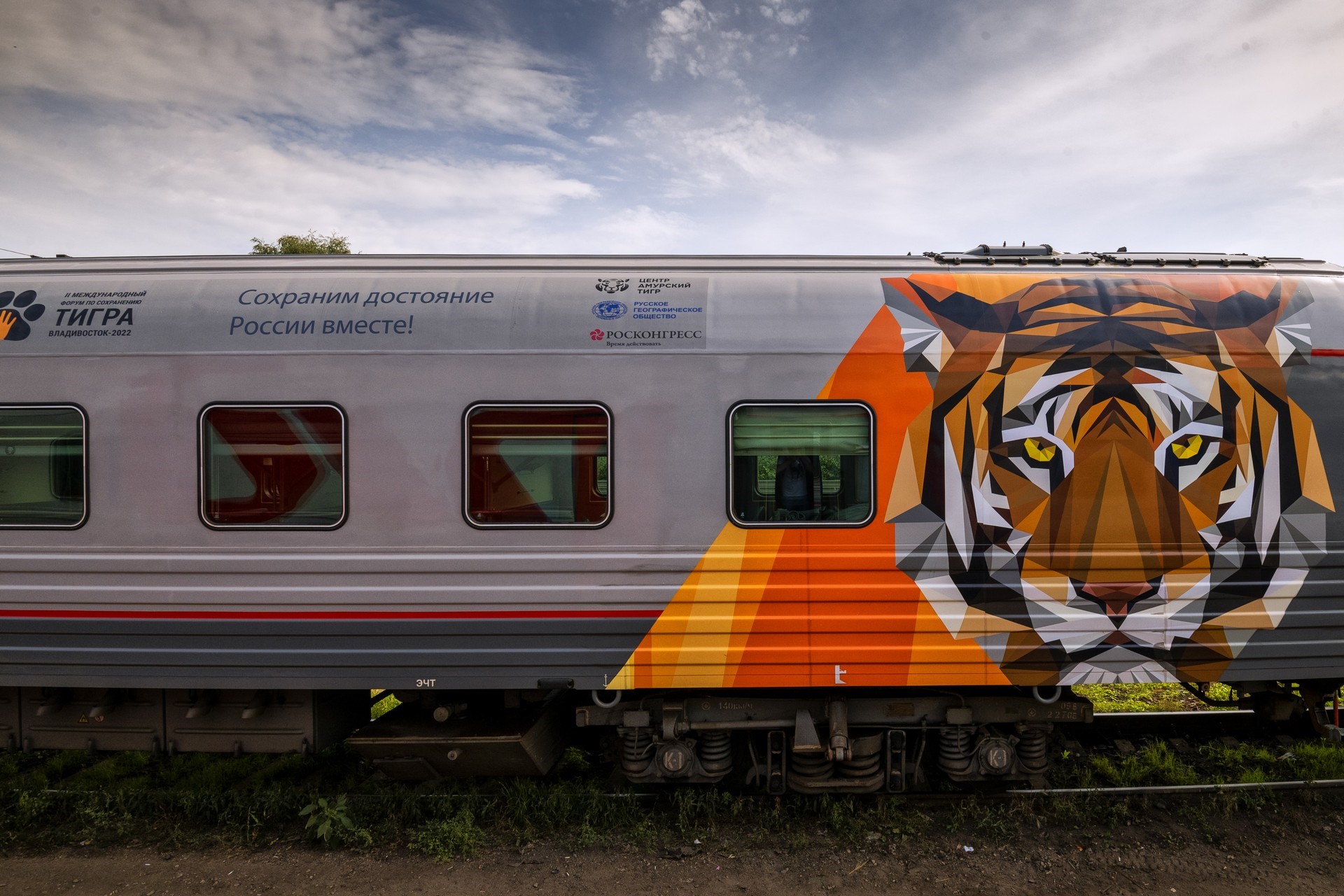 Полосатый рейс: Russ Outdoor и РЖД запустили поезд-тигр к Международному тигриному форуму