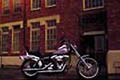   " " 
: Carmichael Lynch 
: Harley-Davidson Motor Company 
: Harley Davidson 