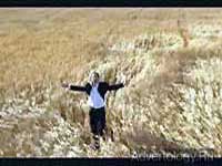 Телереклама "Ланч", бренд: Weetabix, агентство: Banks Hoggins O`Shea FCB