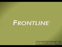  "", : Frontline, : McCann Erickson Romania