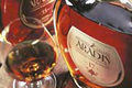  "ARADIS 4" 
: Direct Design Visual Branding 
: ARADIS 
: ARADIS 
