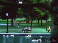 ����������� "�������� � �����", �����: AFLAC, ���������: The Kaplan Thaler Group, Ltd.