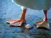 ����������� "�������� � �����", �����: AFLAC, ���������: The Kaplan Thaler Group, Ltd.