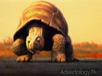  "Turtle", : Brahma, : F/Nazca S&S Publicidade Ltda