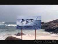 ����������� "���� ����", �����: Canon, ���������: Mediaedge:CIA