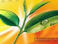 ����������� "Lipton Tin Promo", �����: Lipton, ���������: JWT Company Ltd