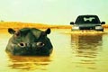   "Hippos" 
: Rainey Kelly Campbell Roalfe / Y&R 
: Land Rover 
: Land Rover 