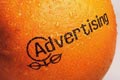   "Sunkist" 
: Carmichael Lynch 
: American Advertising Federation 
: American Advertising Federation 