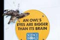   "Owl" 
: Rethink Communications Inc 
: Science World 
The One Show, 2005
Gold (for Integrated Branding: Campaign)
