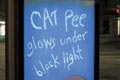   "Cat Pee" 
: Rethink Communications Inc 
: Science World 
: Science World 