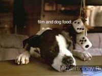 ����������� "Lost Dog", �����: MasterCard, ���������: McCann Erickson New York