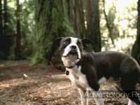 ����������� "Lost Dog", �����: MasterCard, ���������: McCann Erickson New York