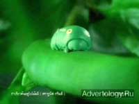 Телереклама "Mother`s Day", бренд: Unif Green Tea, агентство: BBDO Bangkok Ltd.