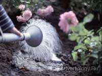 Телереклама "Лейка", бренд: Mercedes-Benz, агентство: Springer & Jacoby Werbung GmbH & Co. KG