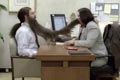  "Beard" 
: TBWA/Chiat/Day 
: Skittles 
The One Show, 2007
Gold (Commercials of var. length - Campaign)