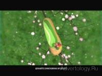 Телереклама "Сакура", бренд: Braska, агентство: САХАР