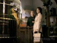 Телереклама "Покупка", бренд: Антенна – Телесемь, агентство: Фокус