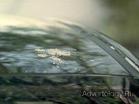 Телереклама "The Bird", бренд: Peugeot, агентство: BETC Euro RSCG