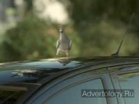Телереклама "The Bird", бренд: Peugeot, агентство: BETC Euro RSCG