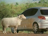 Телереклама "The Sheep", бренд: Peugeot, агентство: BETC Euro RSCG