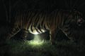   "Tiger" 
: Ogilvy & Mather 
: Inova 
Asia Pacific Advertising Festival (AP AdFest), 2006
(Bronze) for Campaign
