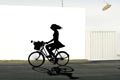   "Cycling" 
: JWT Company Ltd 
: Nippon Extra V 
Asia Pacific Advertising Festival (AP AdFest), 2006
(Bronze) for Household Maintenance Products & Pet Products