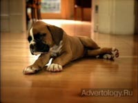����������� "Playful Puppies", �����: Pedigree, ���������: TBWA Brasil S/A