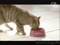  "Scratches", : Whiskas, : AlmapBBDO