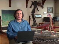 ����������� "Bear Attack", �����: Ask.com, ���������: Berlin Cameron