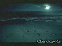 ����������� "Footprints", �����: US Navy, ���������: Campbell-Ewald