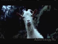 ����������� "Fall", �����: Mountain Dew, ���������: BBDO New York