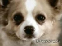 ����������� "Birds", �����: Vitalic