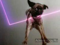 ����������� "Birds", �����: Vitalic