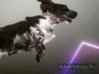 ����������� "Birds", �����: Vitalic