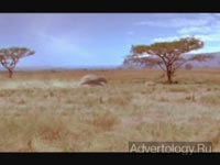 ����������� "Reactine", �����: Reactine, ���������: JWT Italia