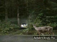  "Deer", : Subaru, : DDB New York