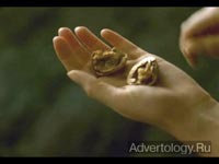 ����������� "Nut", �����: Leo`s