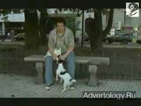  "Dog", : Interbiz, : McCann Erickson Worldwide