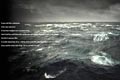   "Ocean" 
: Saatchi & Saatchi Singapore 
: Greenpeace 
CLIO Awards, 2006
Gold (for Product/Service - Campaign)