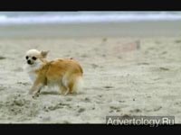 ����������� "Kiki", �����: Bento Cronen, ���������: LG&F