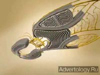 ����������� "Transformation", �����: adidas, ���������: TBWA/Chiat/Day