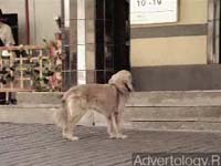 ����������� "������", �����: ��������, ���������: Euro RSCG Kiev