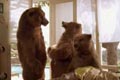  "Three Bears" 
: Modernista! 
: Hummer 
AICP - Association of Independent Commercial Producers, 2006
 (for Advertising Excellence / Campaign)