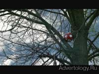 ����������� "���", �����: ���, ���������: Znamenka