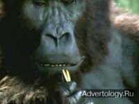  "Grooming", : Jeep, : BBDO Detroit
