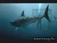  "Shark Cage", : Travelers Insurance, : Fallon Worldwide