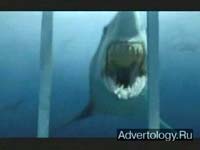  "Shark Cage", : Travelers Insurance, : Fallon Worldwide