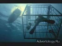  "Shark Cage", : Travelers Insurance, : Fallon Worldwide