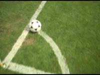 ����������� "������", �����: ������ �����, ���������: Znamenka