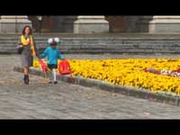 Телереклама "Носится, носится и носится", бренд: Вестфалика, агентство: Мелехов и Филюрин